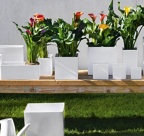 Jardinière, blanc 10cm